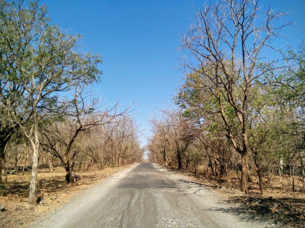 Gir Forest National Park, Gujarat