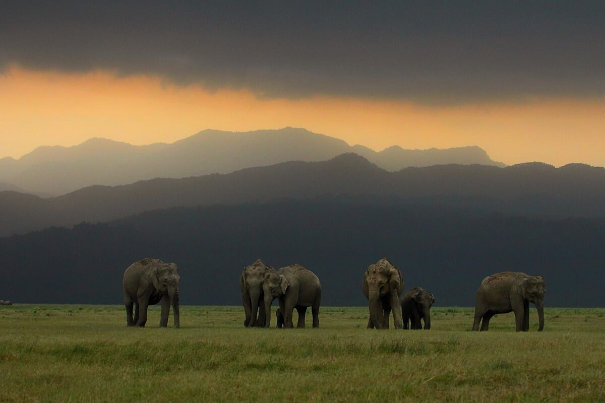 Jim Corbett National Park, Uttarakhand