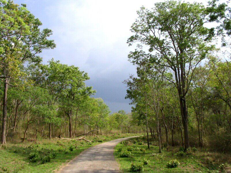 Kabini Forest Reserve, Karnataka