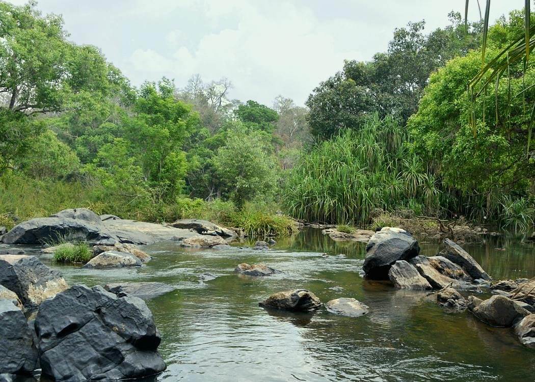 Kuruvadweep, Wayanad, Kerala