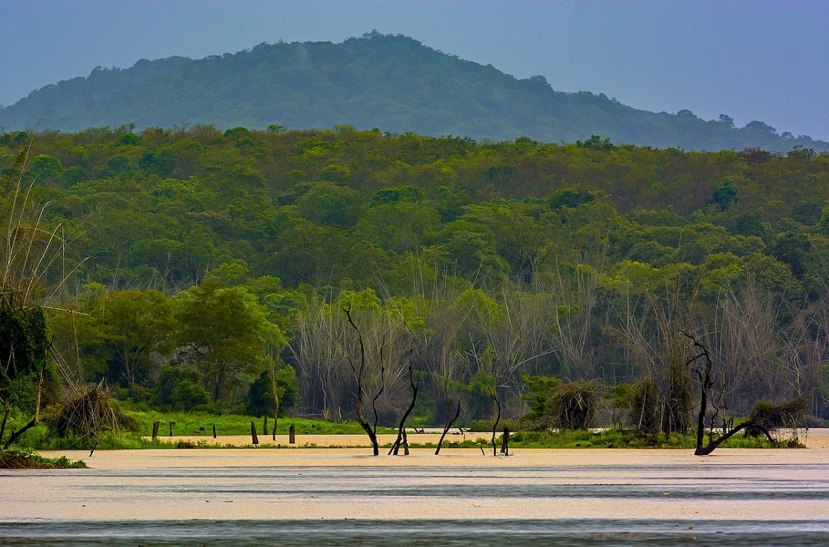 Nagarhole National Park, Karnataka
