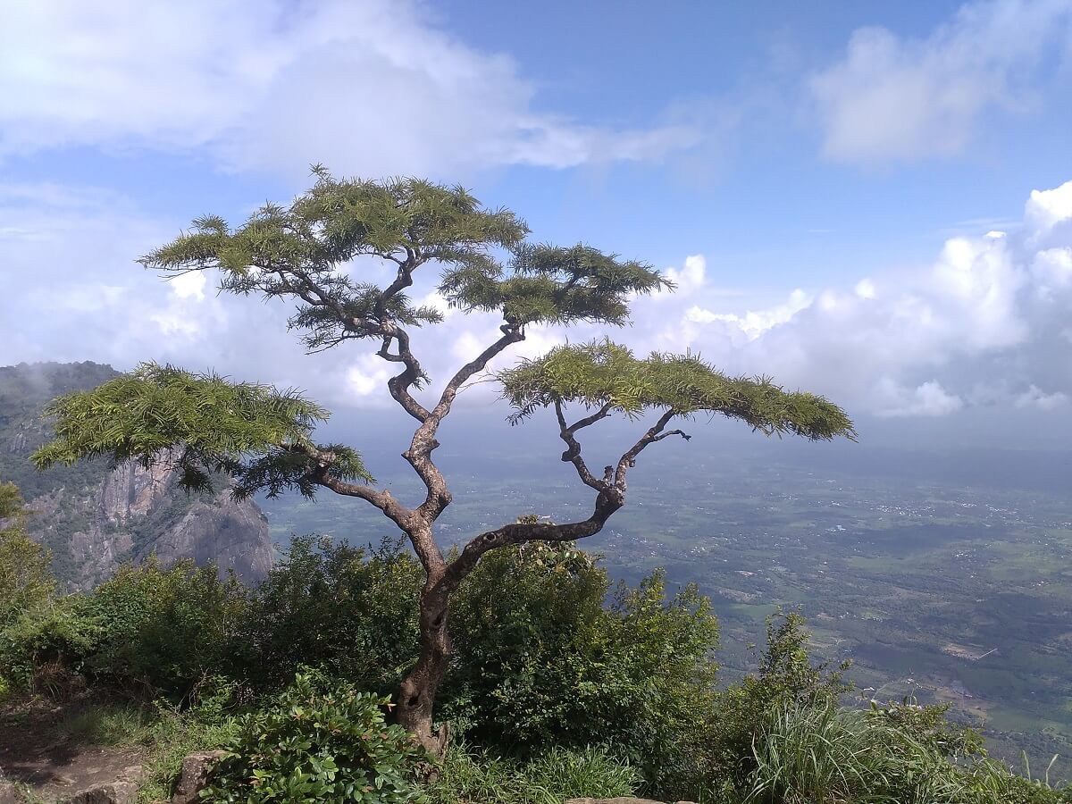 Nelliyampathy Hills, Palakkad, Kerala