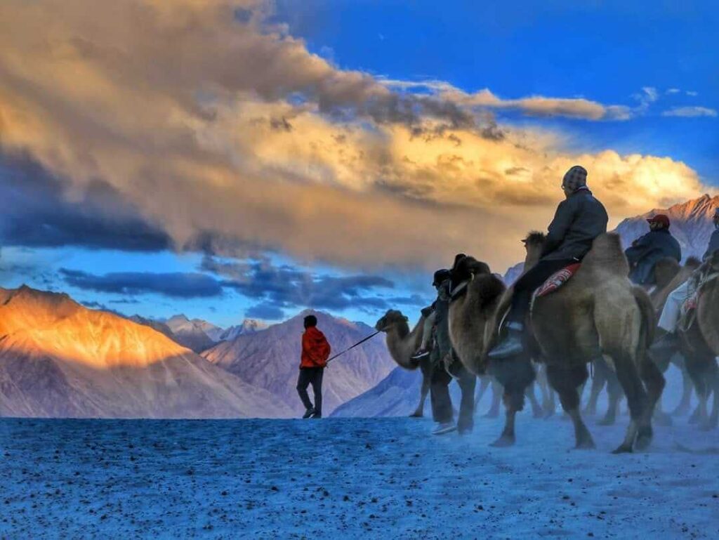 Nubra Valley, Ladakh