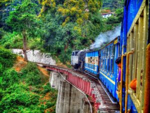 Ooty Nilgiri Toy Train, Tamil Nadu