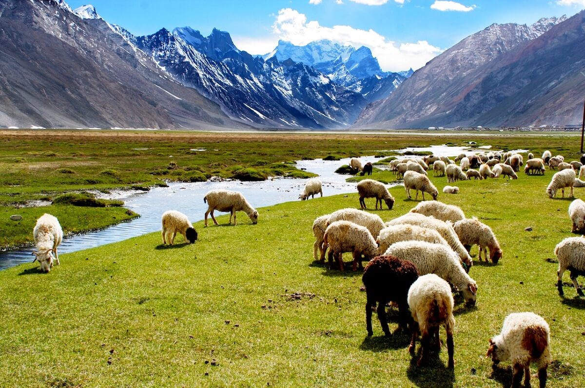 Rangdum Village, Ladakh