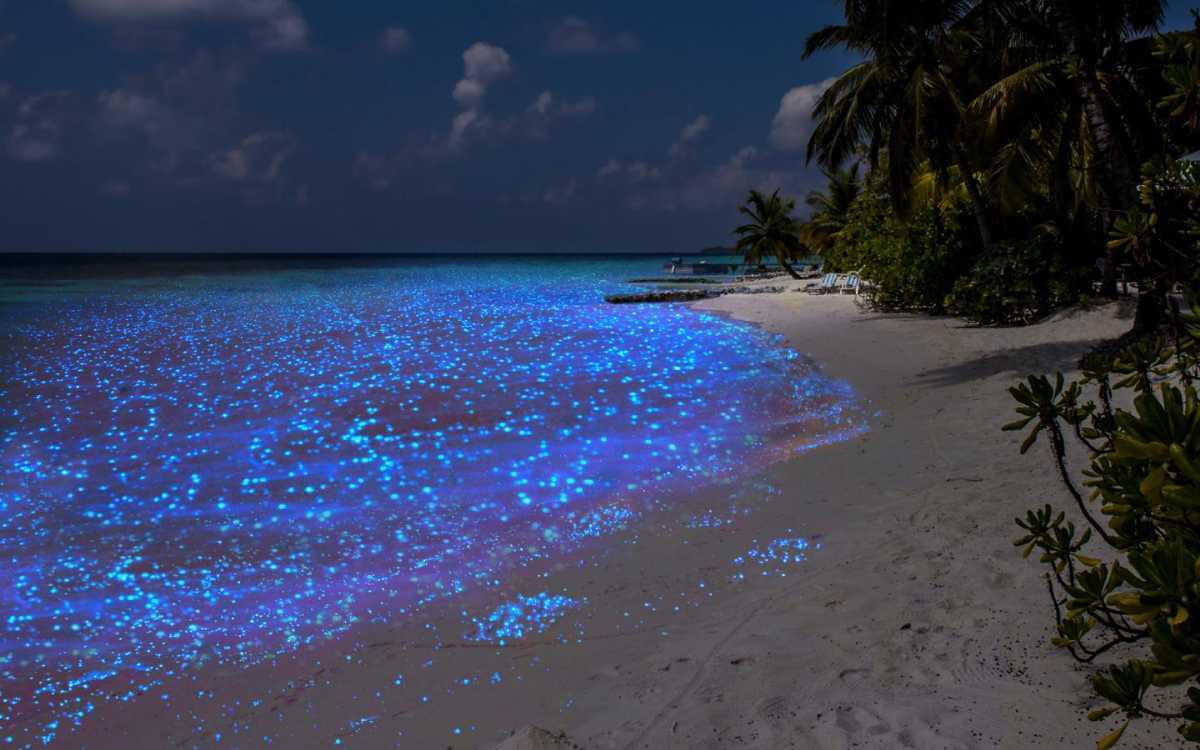 Mudhdhoo Beach, Maldives