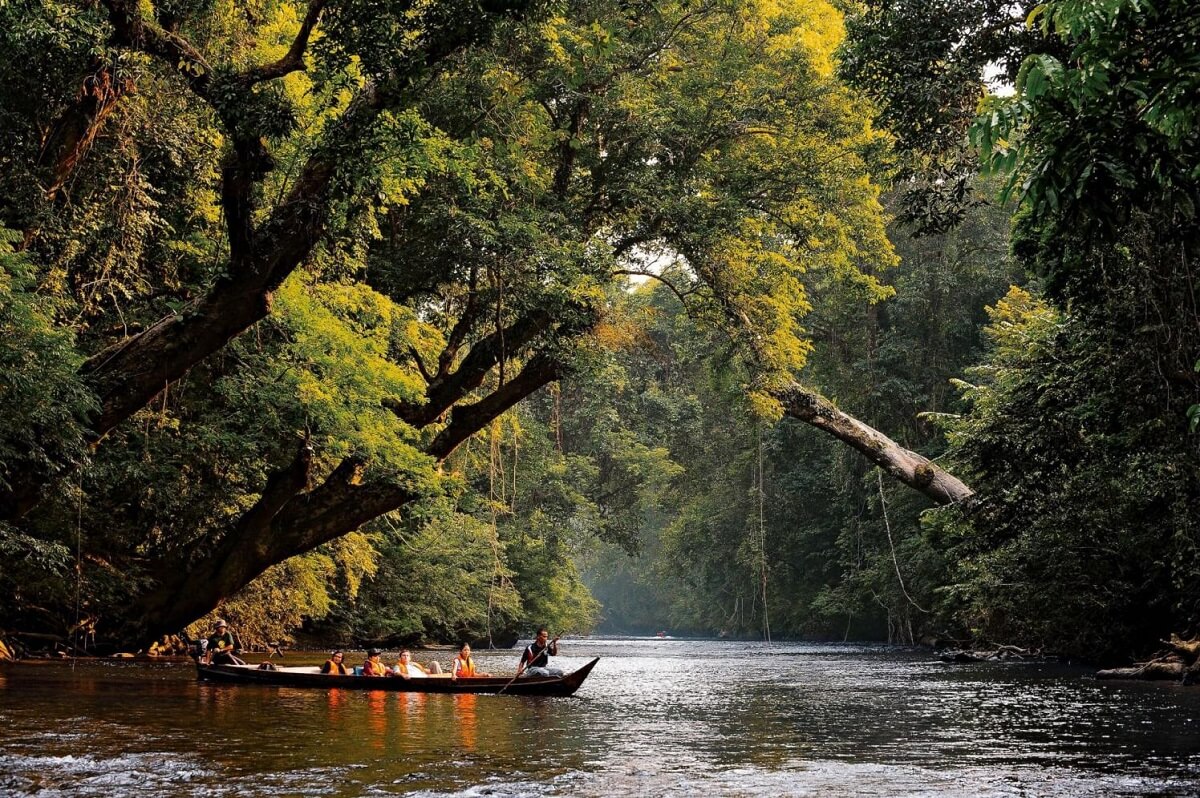 Taman Negara national park, Malaysia