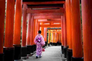 Japan lifts the ban on Foreign Tourism and allows Guided tours