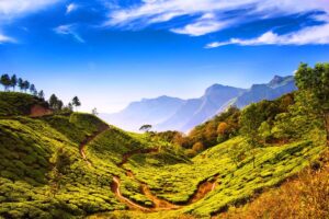 kerala in july photo best destinations