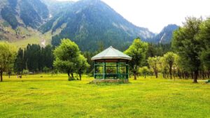 top 10 places in Kashmir in September (1)
