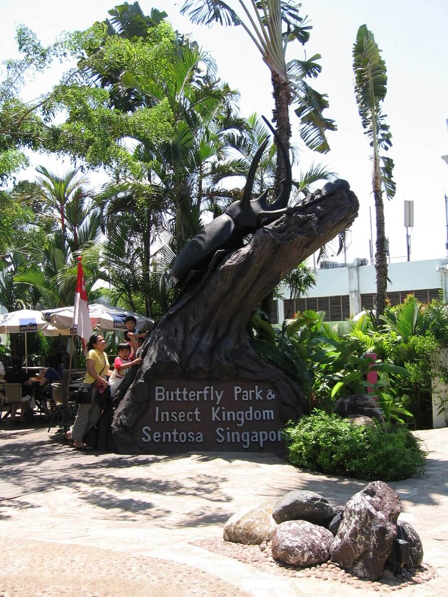 Insect Kingdom and Butterfly Park, Singapore