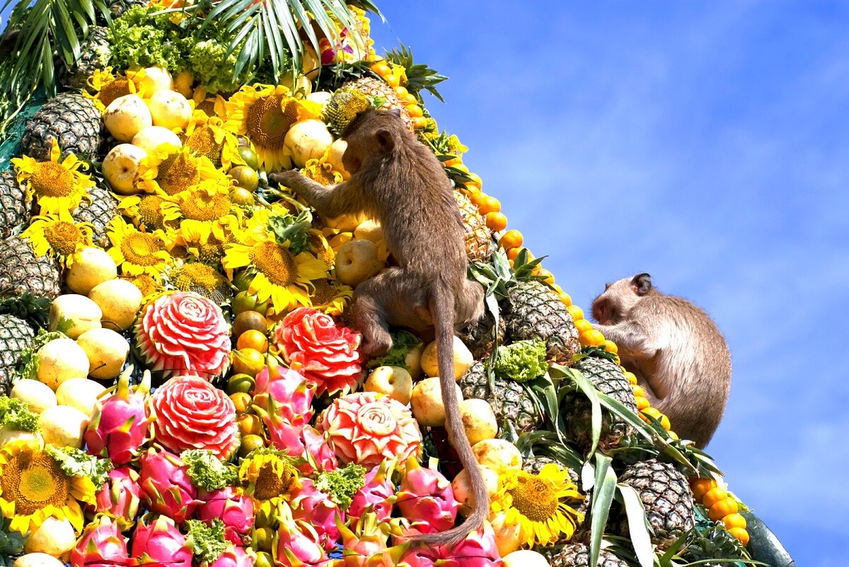 Lopburi Monkey Banquet Thailand