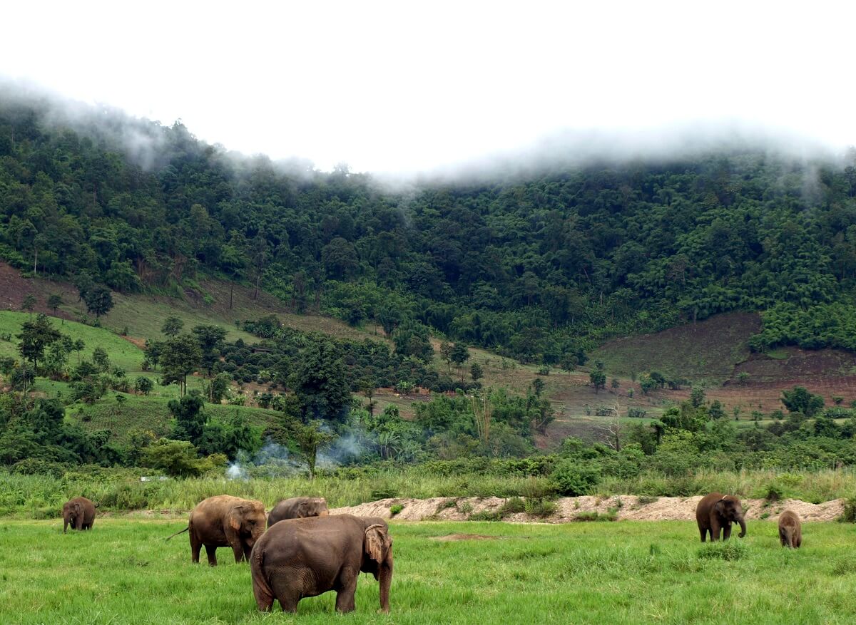 Mondulkiri, Cambodia