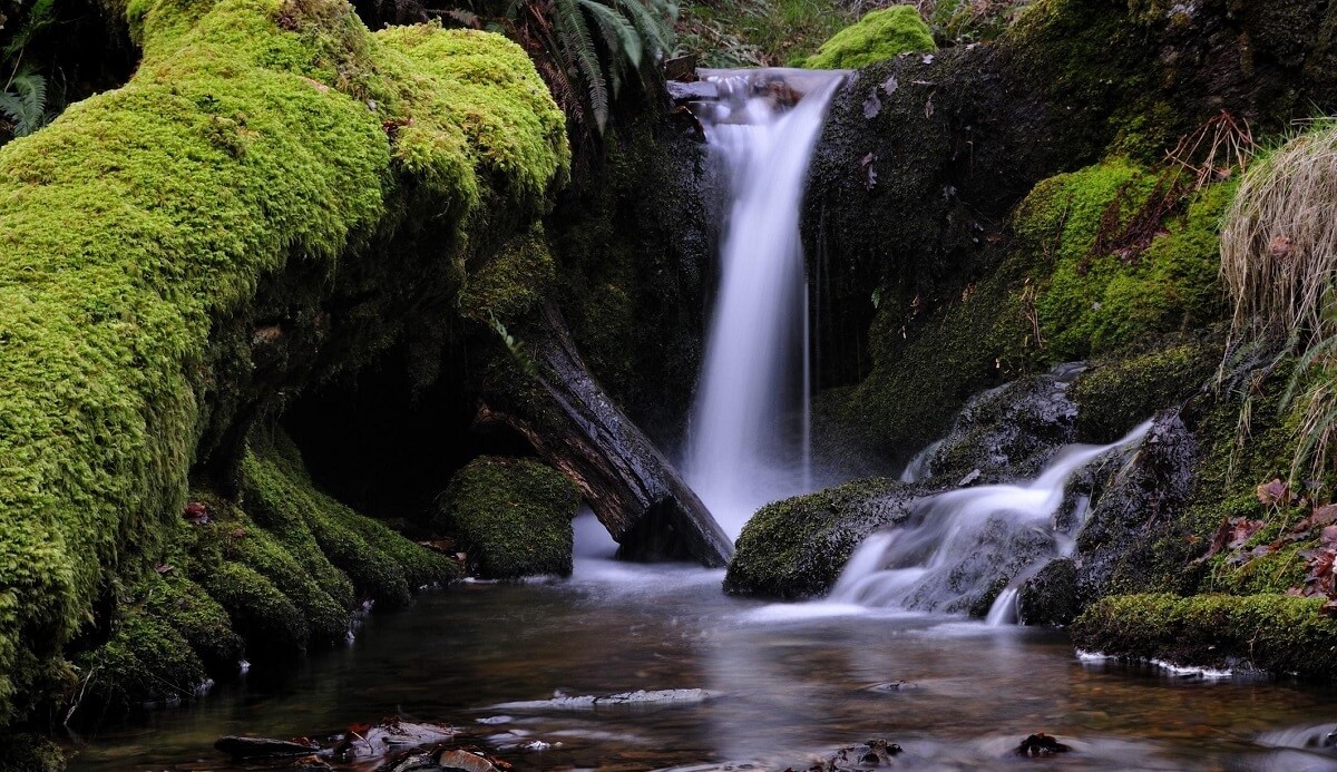 Mossy Waterfall, Uttarakhand