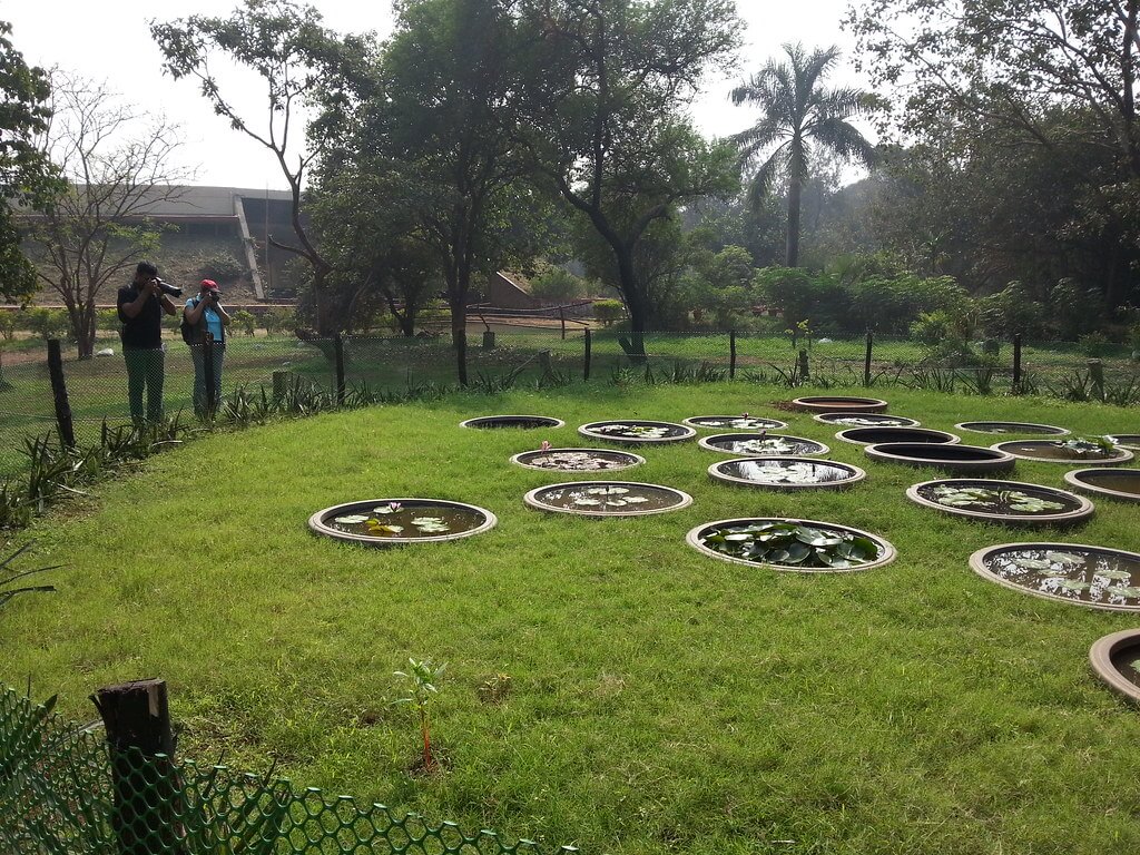 Nature Park in Dharavi, Mumbai