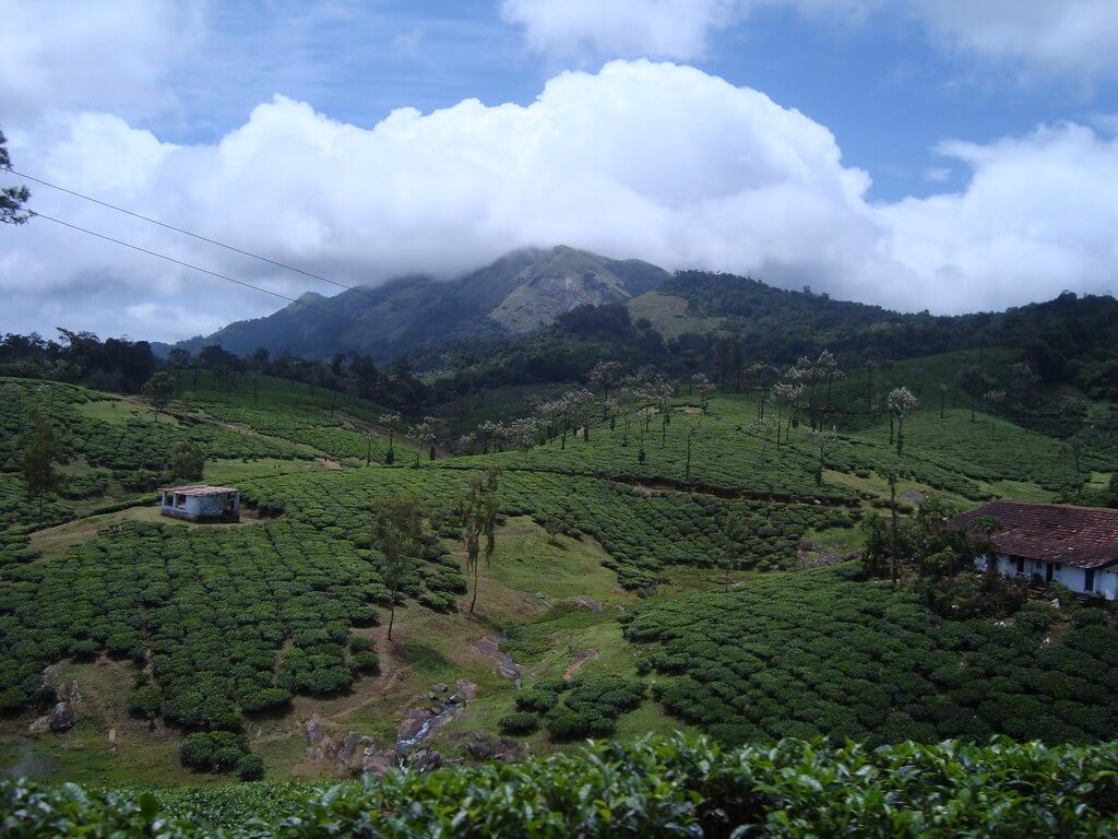 Nelliyampathy Hills, Kerala
