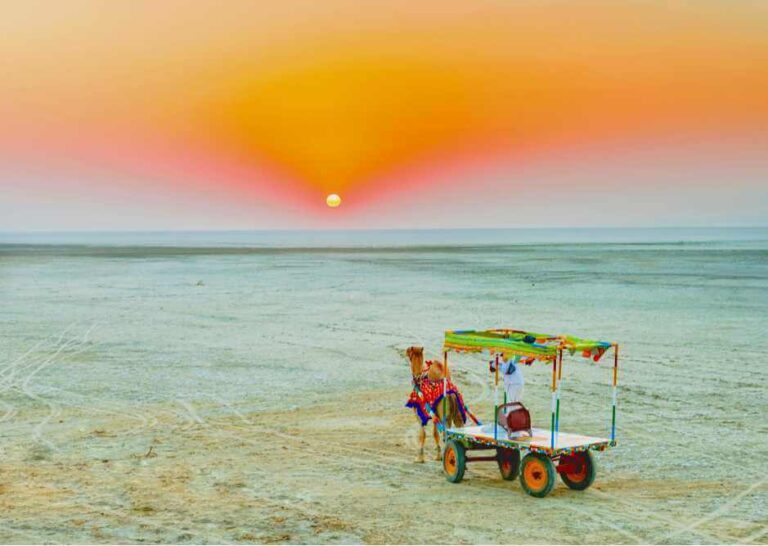 Rann of Kutch, Gujarat