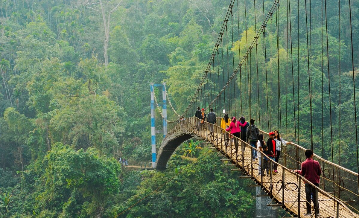 The Mawsaw Root Bridge, Meghalaya