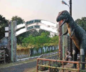 The first fossil park in Jharkhand opens for traveler