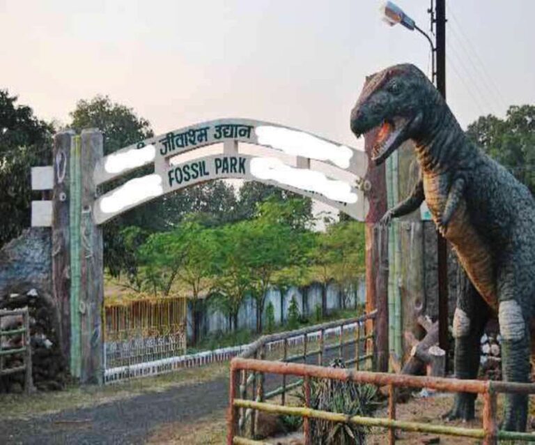 The first fossil park in Jharkhand opens for traveler