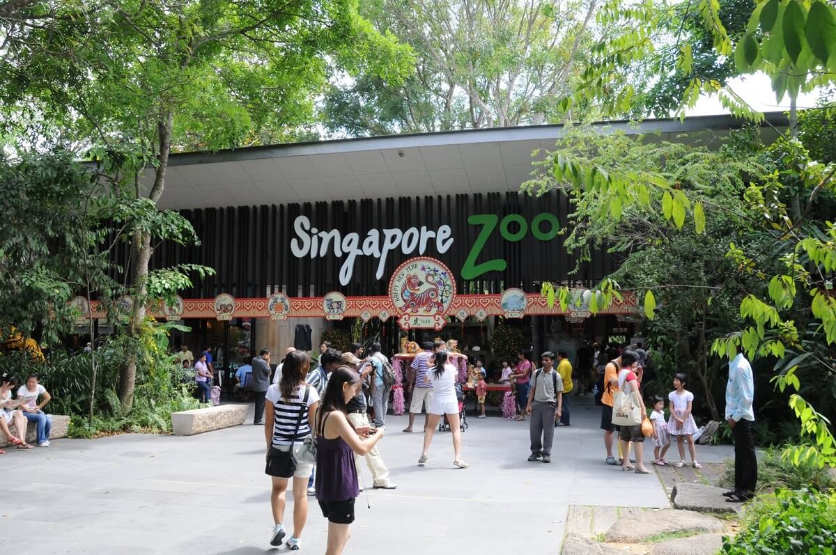 Zoo of Singapore