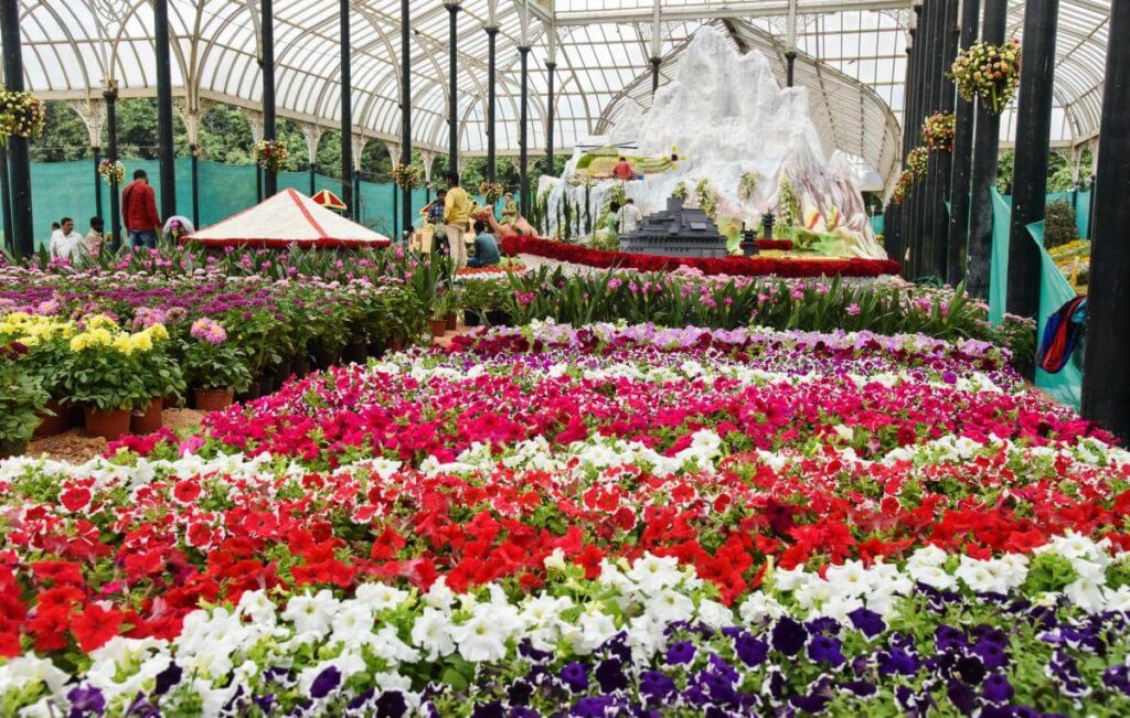 After two years, Bengaluru's Lal Bagh Flower Show returns