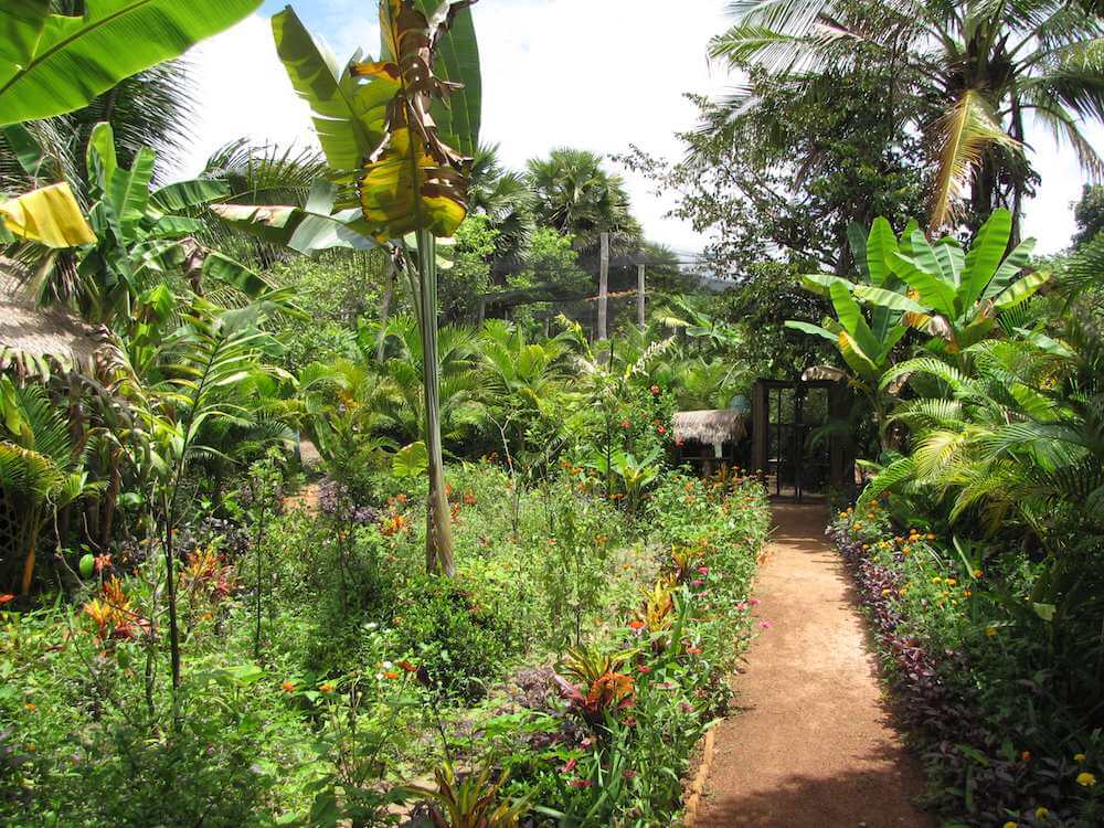 Banteay Srey Butterfly Center Cambodia