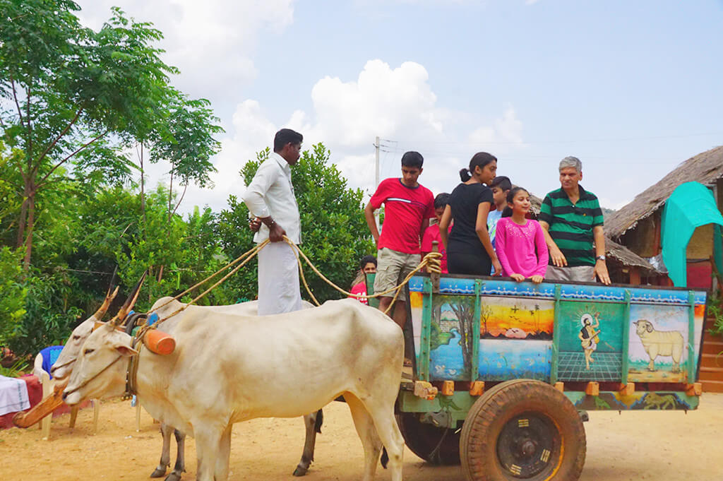 Bullock Cart Discoveries, Thekkady, Kerala