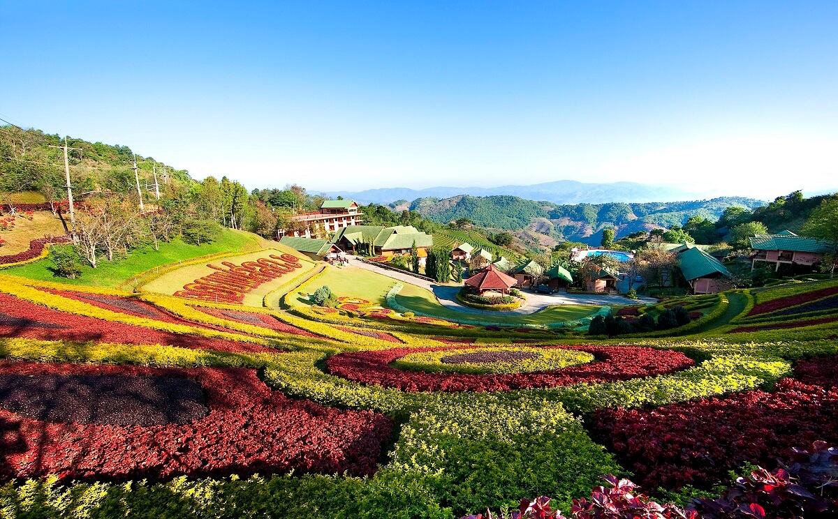 Doi Mae Salong Chiang Rai, Thailand