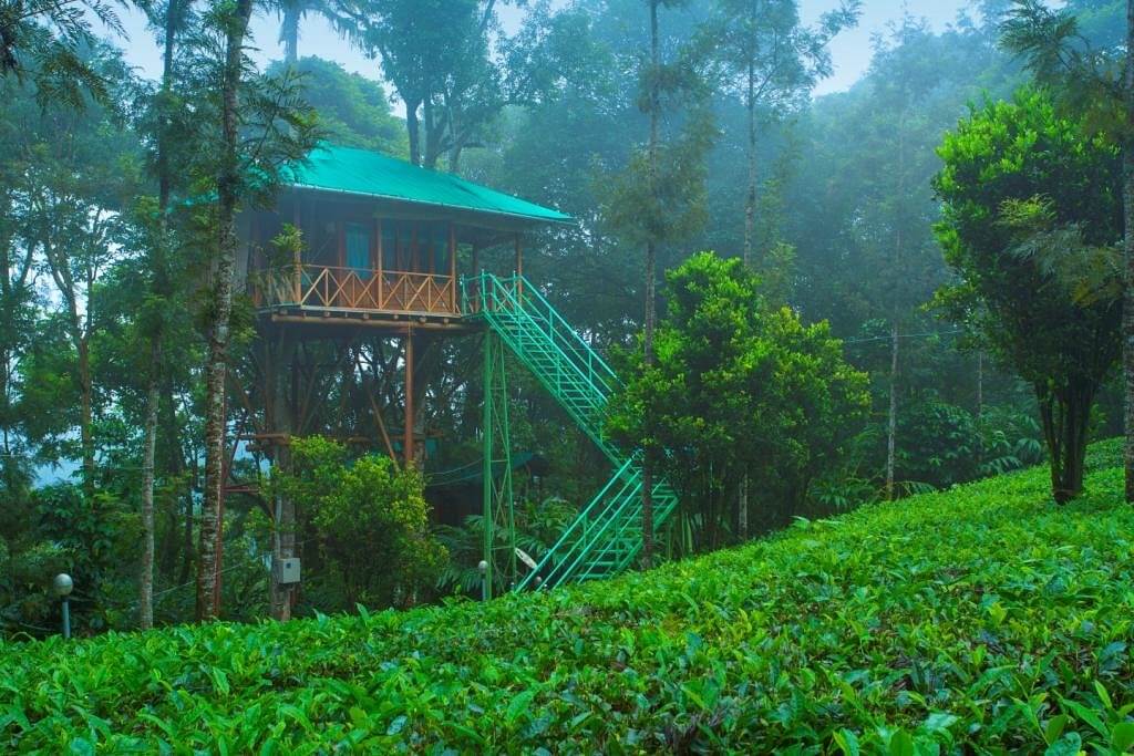 Dream Catcher Resort Idukki, Kerala
