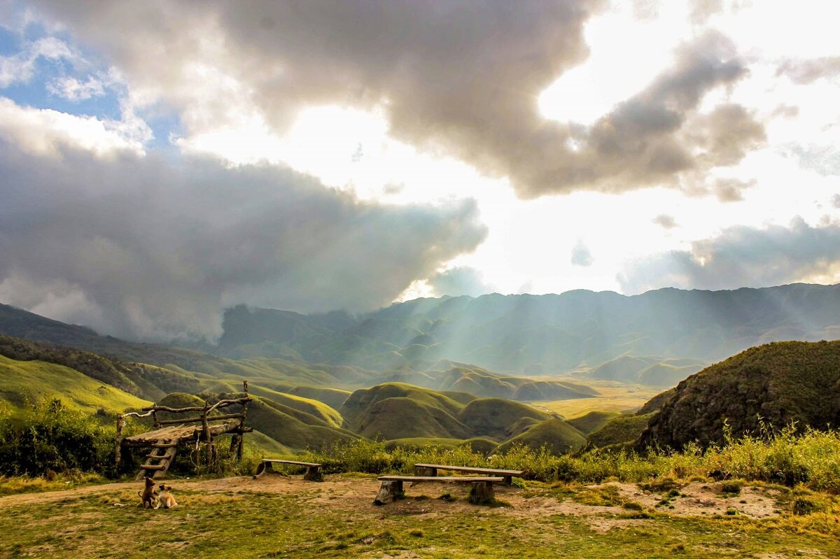 Dzukou Valley, Nagaland