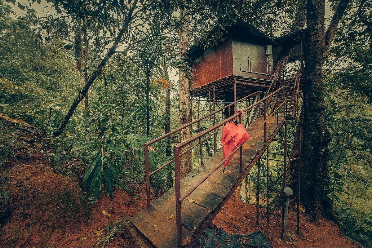 Ela Ecoland Nature Retreat Treehouse, Munnar Kerala