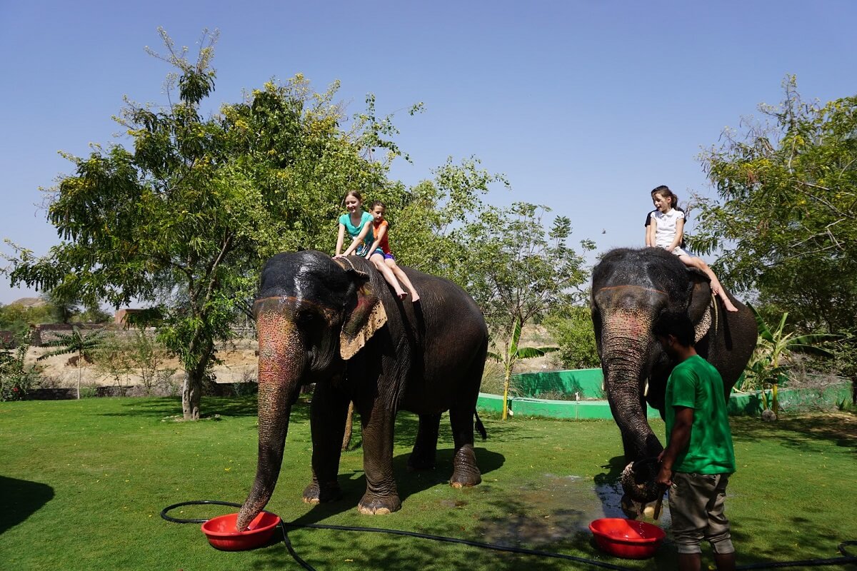 Elefantastic Farm (Jaipur)