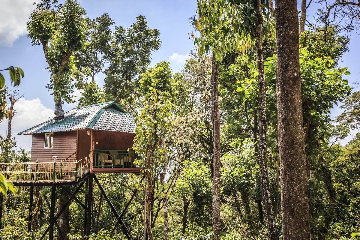 Kaivalyam Retreat Treehouse Munnar, Kerala2