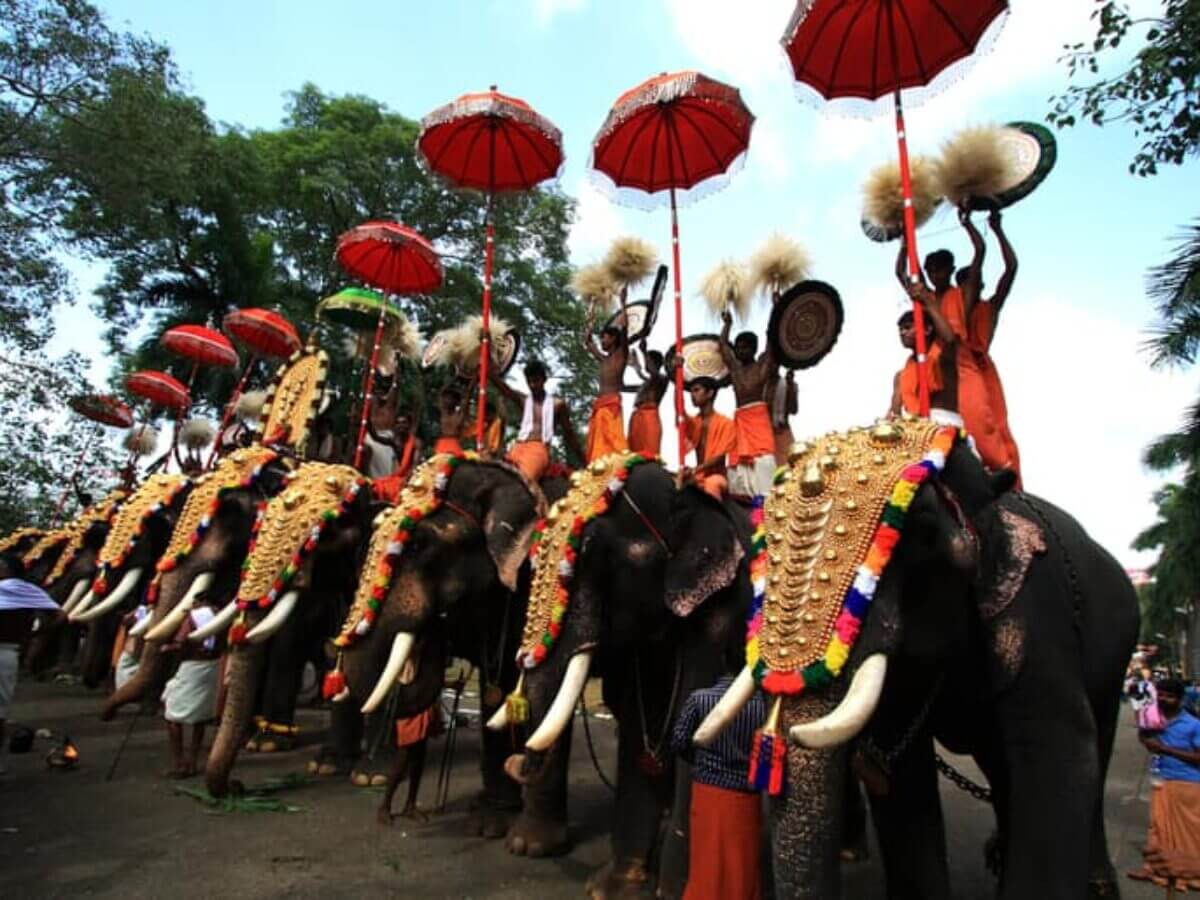 Kerala Utsavam elephants parade decorated costumes