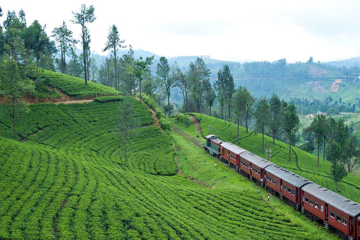 Nuwara Eliya, Sri Lanka