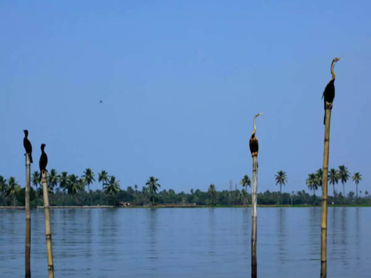 Pathiramanal Island Kerala