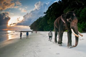 Radhanagar Beach, Havelock, Andaman
