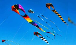 Tamil Nadu's first International Kite Flying Festival