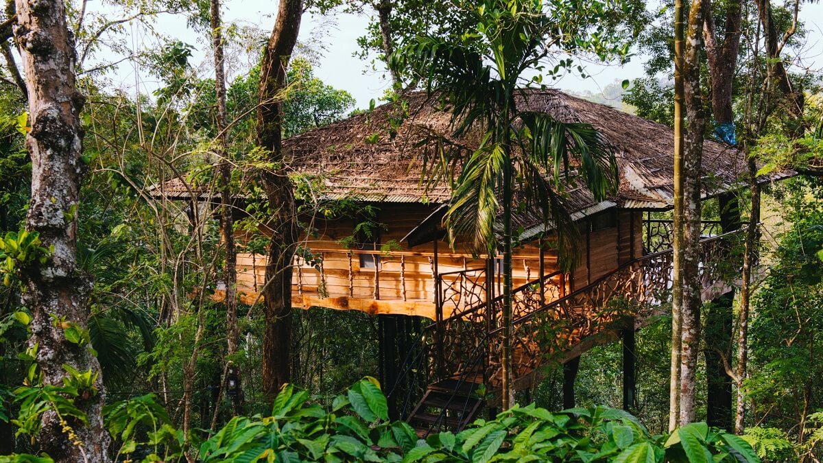 Tranquil Resort, Wayanad, Kerala