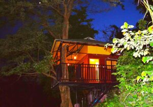 Tree Houses in Kerala