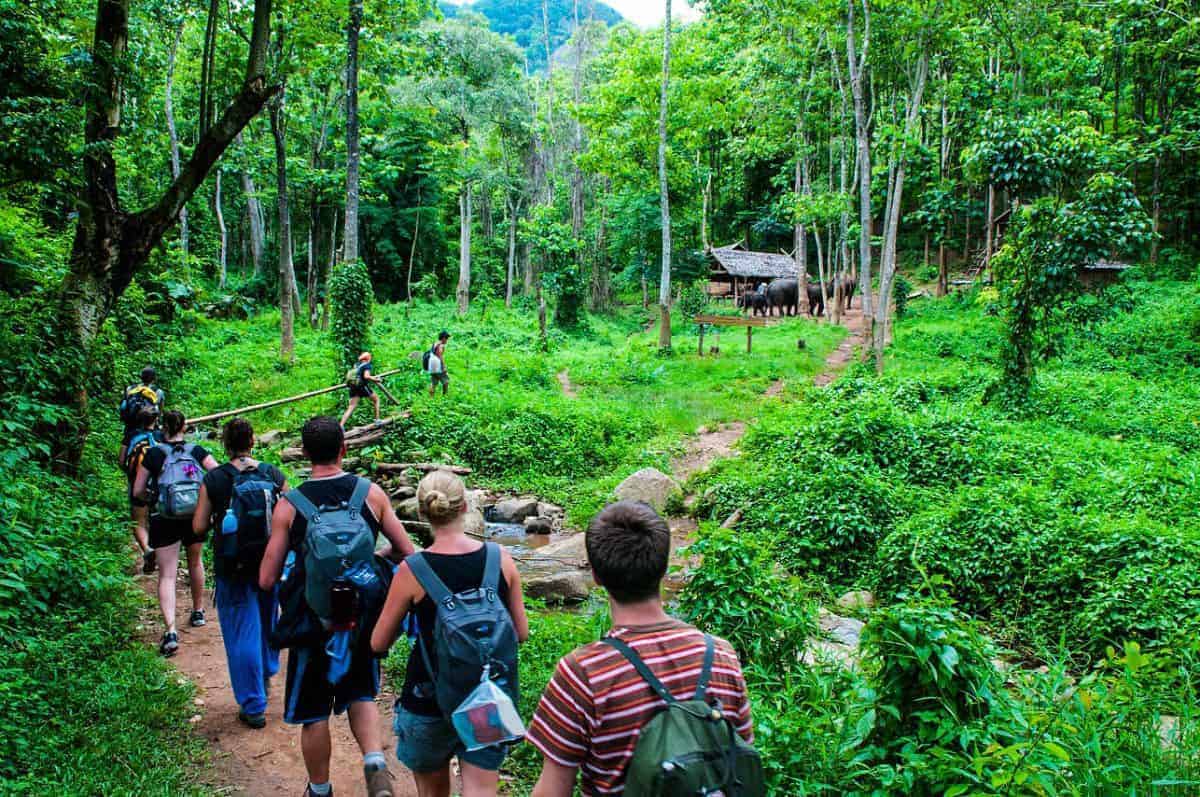 Trekking in Chiang Mai, Thailand