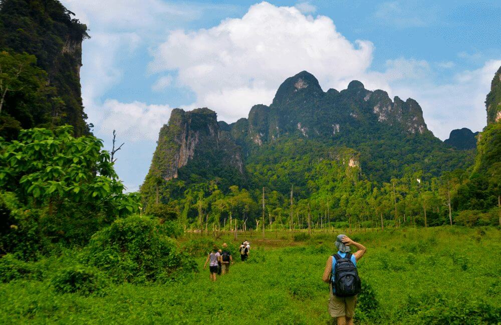 Trekking in Khao Sok, Thailand