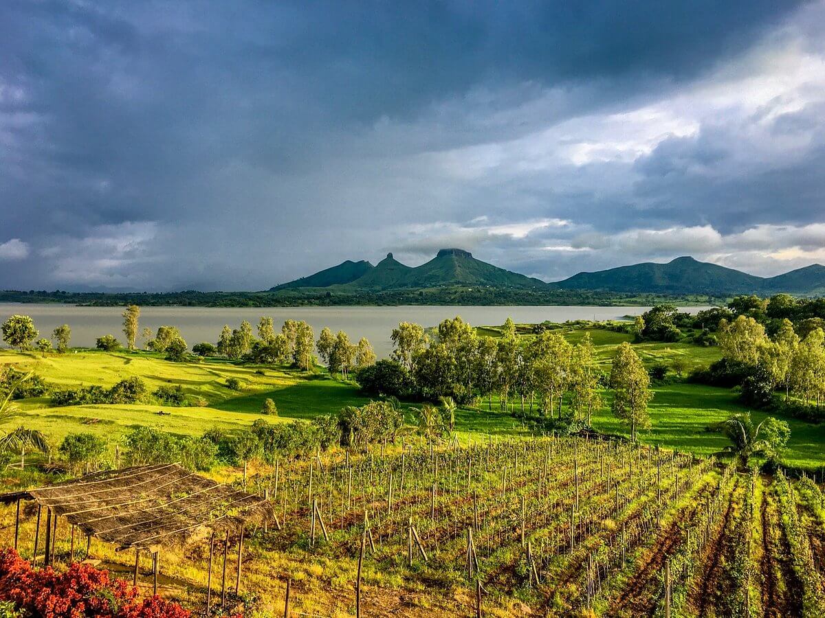 Vallonne Vineyards, Igatpuri, Maharashtra