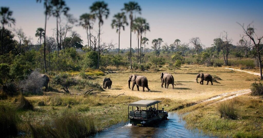 Chobe National Park in Botswana