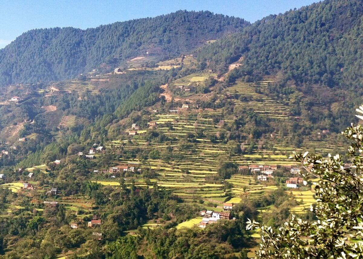 Daman Nepal