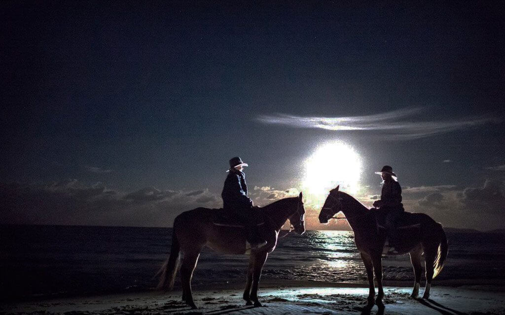 Full Moon Horse Riding At Mushrif Park Dubai