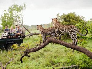 Kruger National Park, South Africa