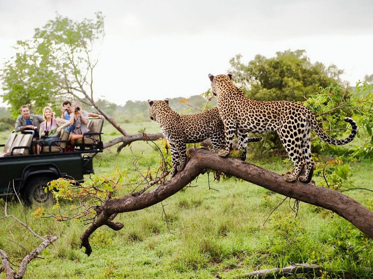 Kruger National Park, South Africa