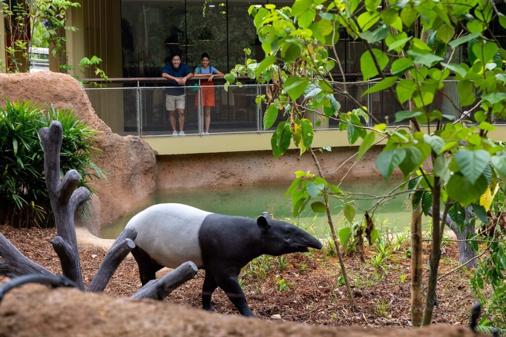 Mandai Wildlife Reserve Singapore